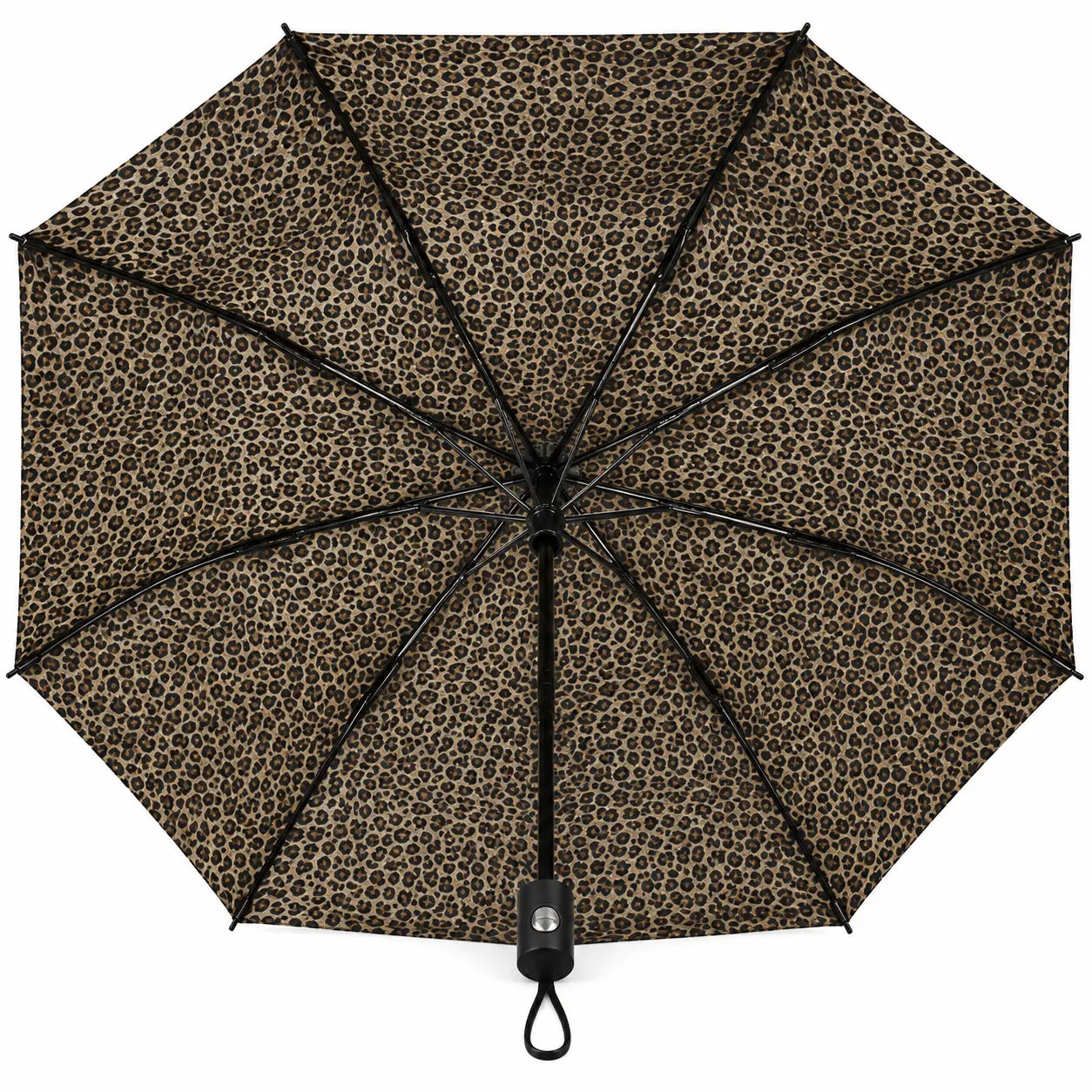 Inside View Showing Leopard Print Canopy and Metal Frame