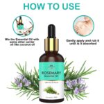 Rosemary Hair Care Essential Oil - Image 2