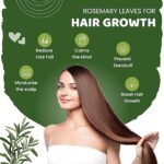 NutroVally 100g Dried Rosemary Leaves (Food Grade) | Essential for Hair Growth & Seasoning - Image 4